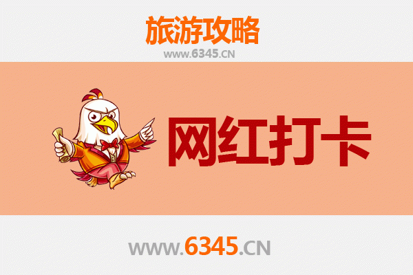 会泽网红打卡地全攻略：古韵与现代的完美交融